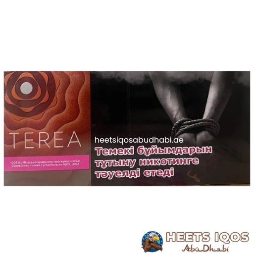 Heets TEREA Sun Pearl from Kazakhstan